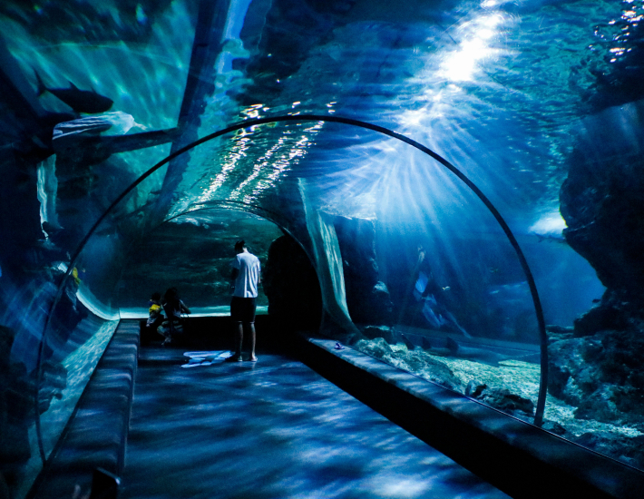 Waterproofing and tanking Sealife Centre